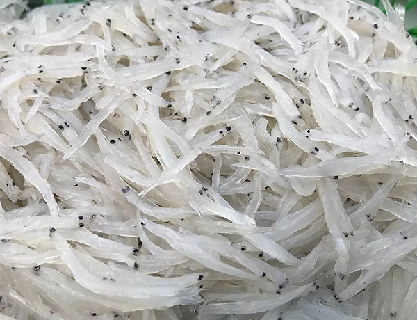 高郵湖銀魚